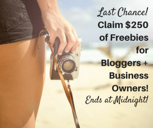 Don't miss your change to work from home, change your life, and of course, claim $250 worth of freebies for your business or blog