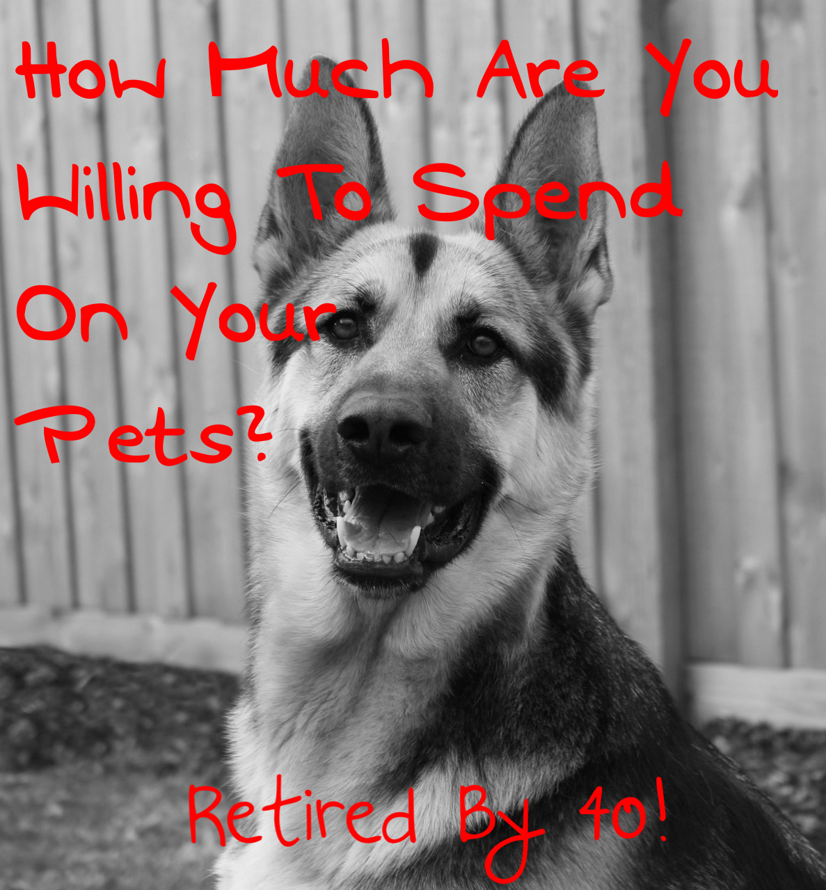 How Much Are You Willing To Spend On Your Pets?