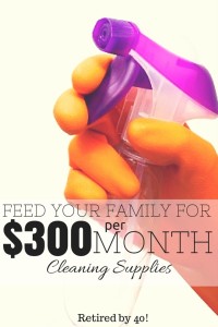 For $300 a month I buy groceries, cleaning supplies, toiletries, and even diapers & formula for my family!  Learn how to do this for your family in this 3-part series!