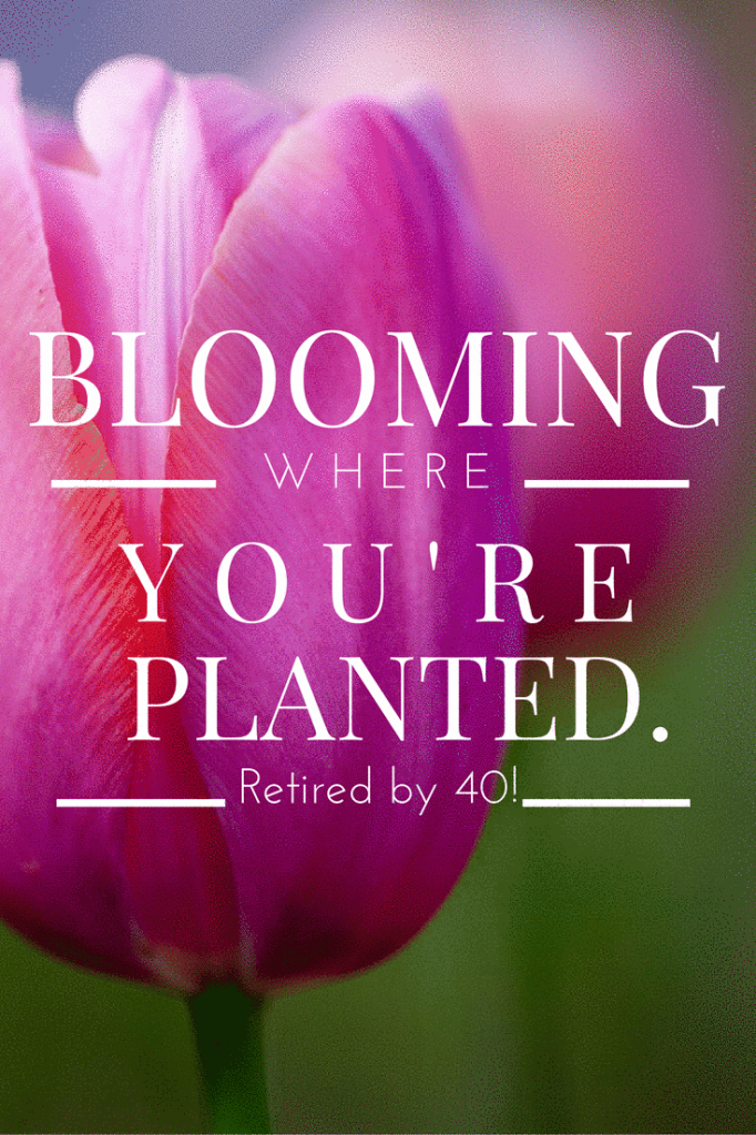 blooming where you're planted