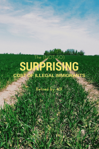 cost of Illegal immigrants