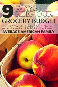 Did you know that the average American family spends $800 - $1,200 a month just on food?!?  For $300 a month I keep food costs low by not only feed my family, I buy cosmetics, toiletries, household supplies, and even diapers & formula!