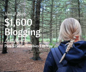 How I Took my blog from making $0 to $1,600 a month in 12 weeks!