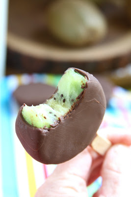 Kiwi Chocolate Popsicles0013