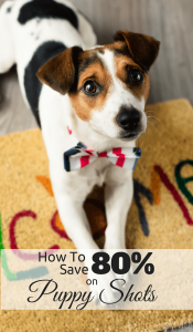 How To Save on Puppy Shots